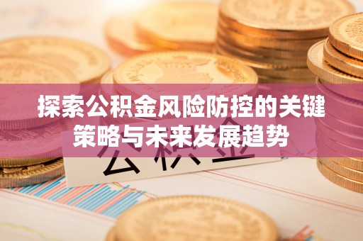广灵探索公积金风险防控的关键策略与未来发展趋势