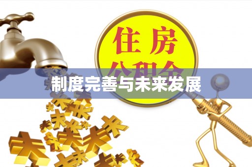广灵制度完善与未来发展