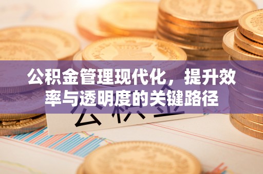 广灵公积金管理现代化，提升效率与透明度的关键路径