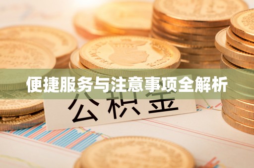 广灵便捷服务与注意事项全解析