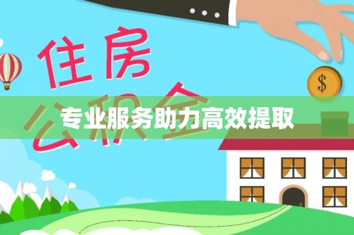 广灵专业服务助力高效提取