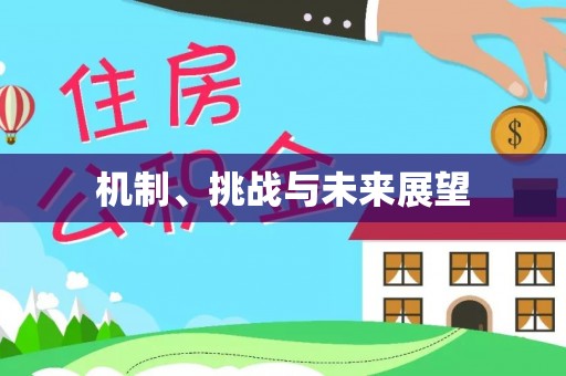广灵机制、挑战与未来展望